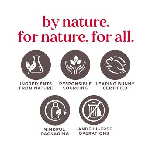 Burts Bees Gifts Ideas - In Full Bloom Lip Balm Set, Original Beeswax, Dragonfruit Lemon, Tropical Pineapple & Strawberry, Natural Origin Lip Treatment, 4 Tubes, 0.15 Oz.