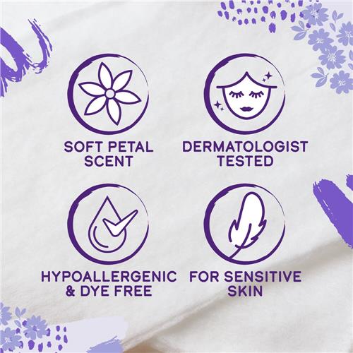 Kroger Feminine Wash Hypoallergenic Soft Petal Scent 15 fl oz