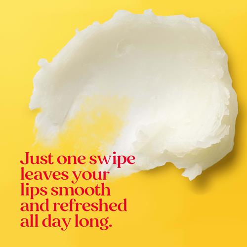 Burts Bees Vanilla Bean Lip Balm, Lip Moisturizer With Responsibly Sourced Beeswax, Tint-Free, Natural Conditioning Lip Treatment, 1 Tube, 0.15 Oz.