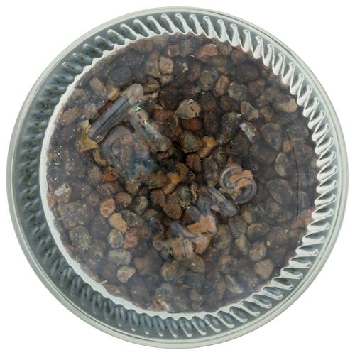 Whole Foods Market, Organic Cardamom Whole, 2.36 Oz
