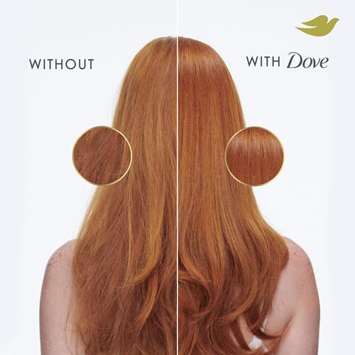 Dove Shampoo And Conditioner Intensive Repair 2 Count For Damaged Hair Bio-Protein Care Technology And Amino Serum 12 Fl Oz