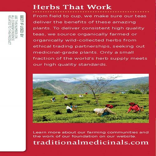 Traditional Medicinals Organic Echinacea Plus Seasonal Tea (Pack Of 1), Promotes Immune Function, 16 Tea Bags