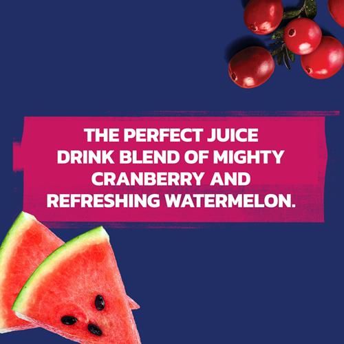 Ocean Spray Cran-Watermelon Cranberry Watermelon Juice Drinks, 10 Fl Oz Bottles, 6 Count (Pack Of 1)