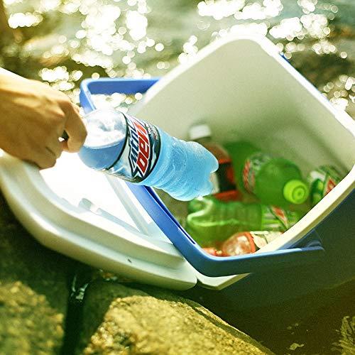 Diet Mountain Dew Soda, 16.9Oz Bottles (6 Pack)