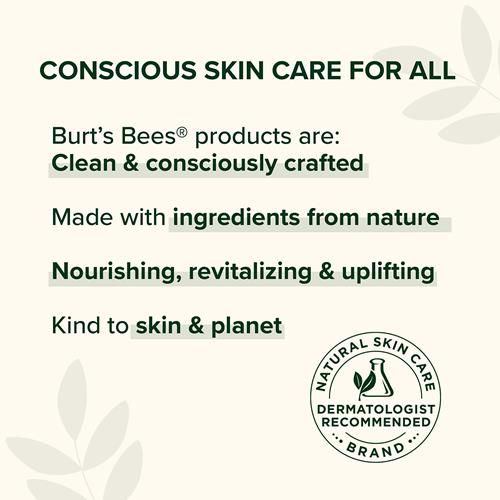 Burts Bees Lip Tint Balm Valentines Day Gifts With Long Lasting 2 In 1 Duo Tinted Balm Formula, Color Infused With Hydrating Shea Butter For A Natural Looking Buildable Finish, Petal Rose (2-Pack