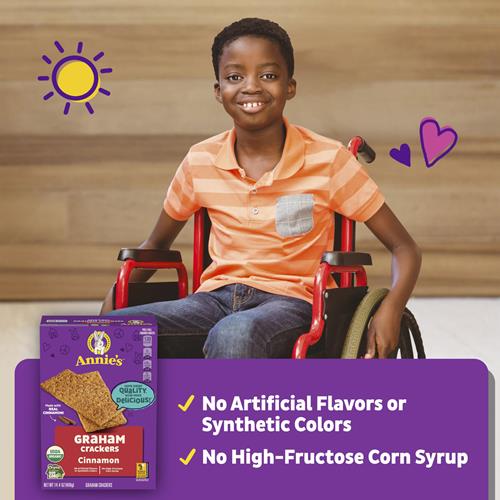 Annies Organic Graham Crackers, Cinnamon, Made With Whole Grain, 14.4 Oz