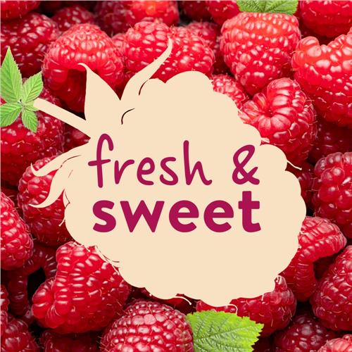Kroger Raspberry Jam Seedless 18 oz