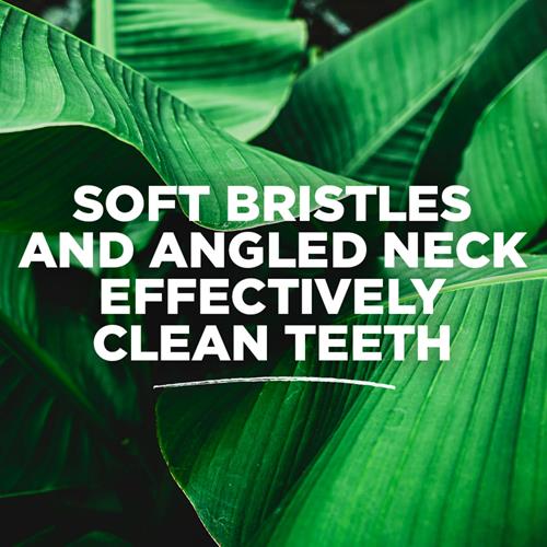 Toms Of Maine, Whole Care Toothbrush, Soft