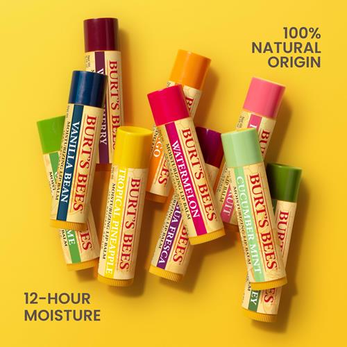 Burts Bees Gifts Ideas - Balm Bouquet Lip Balm Set, Original Beeswax, Vanilla Bean, Cucumber Mint, Coconut & Pear Pack, Natural Origin Lip Treatment, 4 Tubes, 0.15 Oz.