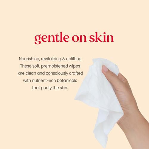 Burts Bees Purifying Facial Towelettes With White Tea, Pre-Moistened Towelettes For All Skin Types, 99.1 Percent Natural Origin Skin Care, 30 Ct. Package
