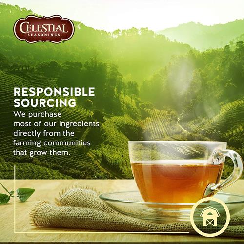 Celestial Seasonings Sleepytime Herbal Tea, 20 Ct