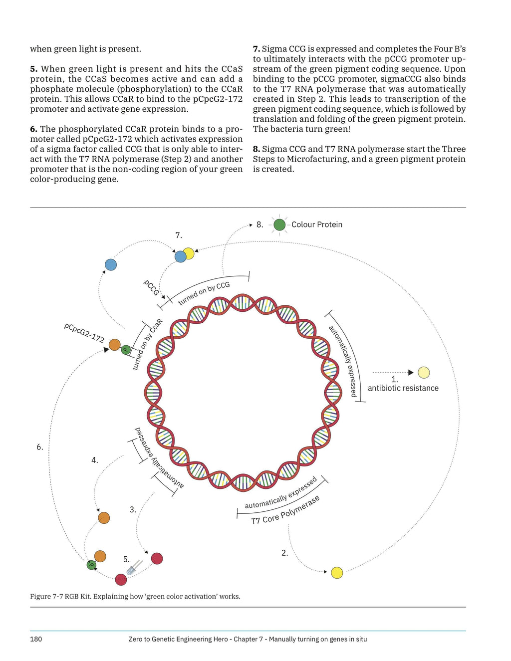Make: Zero to Genetic Engineering Hero - PDF