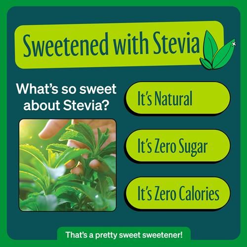 Zevia Zero Calorie Soda, Ginger Ale, 12 Ounce Cans (Pack Of 6)