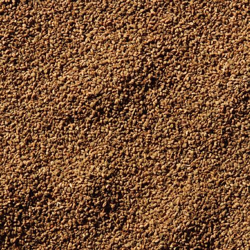 Mccormick Celery Seed, 0.95 Oz