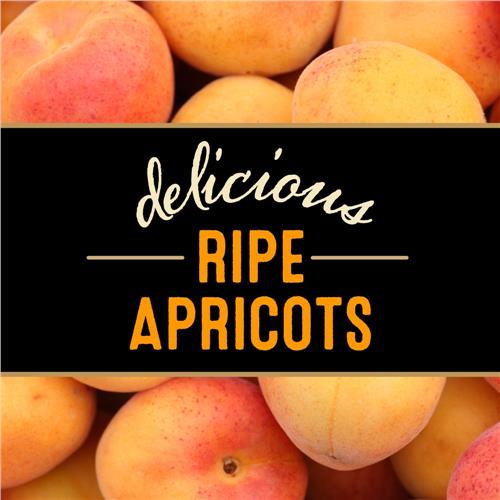 Private Selection Apricot Preserves 13 oz