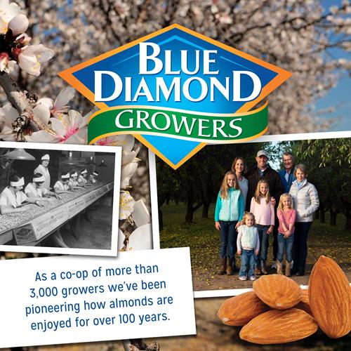 Blue Diamond Almonds, Roasted Salted, 16 Ounce