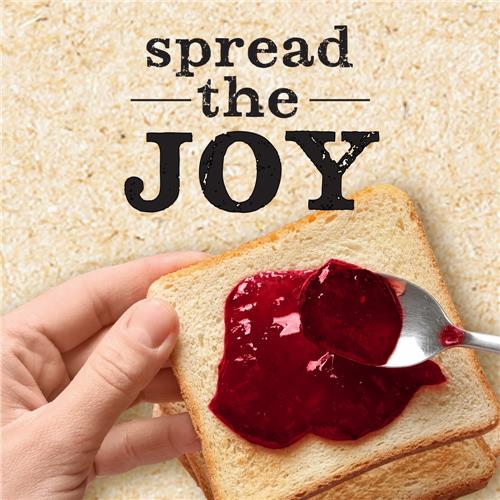 Kroger Sugar Free Raspberry Preserves 13 oz
