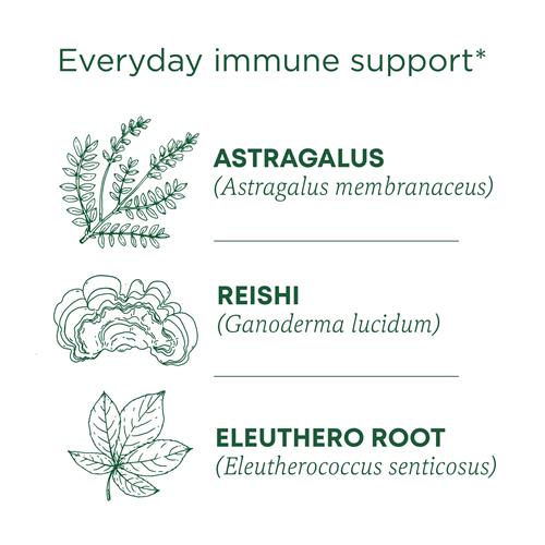 Traditional Medicinals Tea, Organic Stress Ease Immune With Adaptogens, Everyday Immune Support, Reishi Warming Spice, 16 Tea Bags