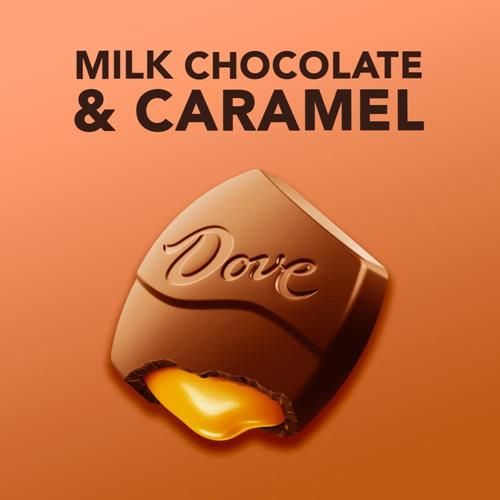 Dove Large Promises Milk Chocolate Caramel Candy, 2.75 Oz Pack