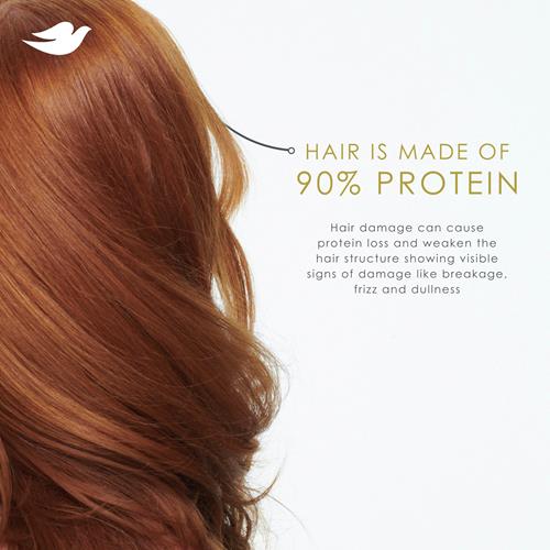 Dove Shampoo And Conditioner Intensive Repair 2 Count For Damaged Hair Bio-Protein Care Technology And Amino Serum 12 Fl Oz