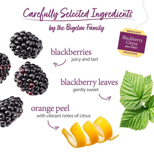 Bigelow Tea Herbal Teas Blackberry Citrus Plus Zinc, 18 Count (Pack Of 1), 18 Total Tea Bags