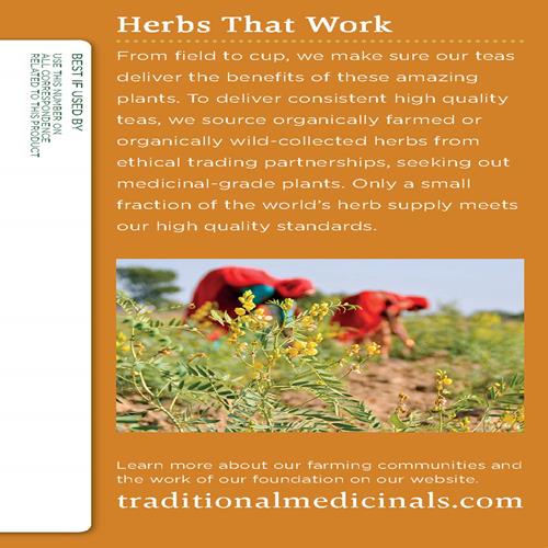 Traditional Medicinals Tea, Organic Ginger Aid, Promotes Healthy Digestion, 16 Tea Bags