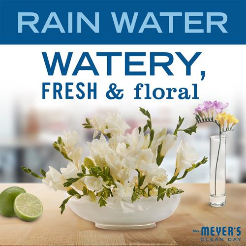 Mrs. Meyers Clean Day Hand Soap, Made With Essential Oils, Biodegradable Formula, Rain Water, 12.5 Fl. Oz