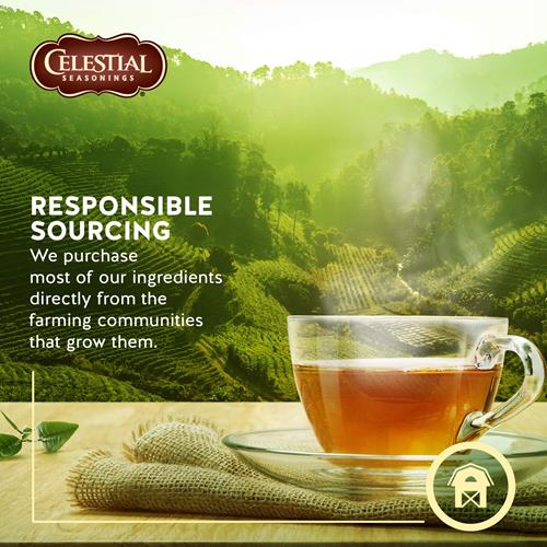Celestial Seasonings Natural Herb Tea, Country Peach Passion, 20 Ct