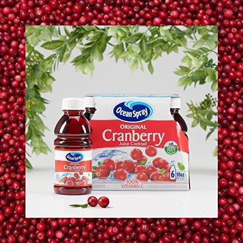 Ocean Spray Cranberry Cocktail Juice Drink, (Pack Of 6) 10 Ounce, 60 Fl Oz