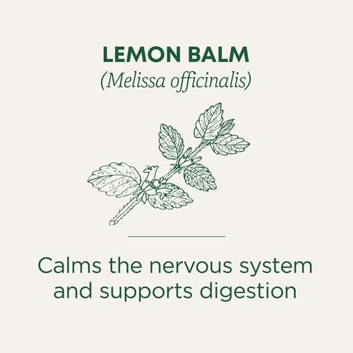 Traditional Medicinals Organic Lemon Balm Herbal Tea, Calming And Supports Digestion, (Pack Of 1) - 16 Tea Bags