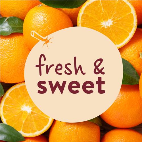 Kroger Orange Marmalade 18 oz
