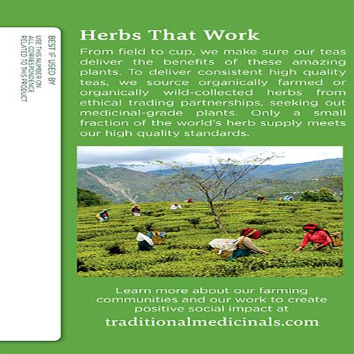 Traditional Medicinals Organic Green Tea Ginger Herbal Tea, Promotes Healthy Digestion, (Pack Of 1) - 16 Tea Bags