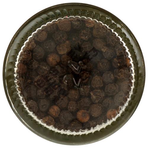 Whole Foods Market Organic Black Peppercorns, 1.87 Ounce