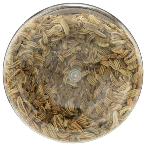 Whole Foods Market, Fennel Seed, 1.09 Oz
