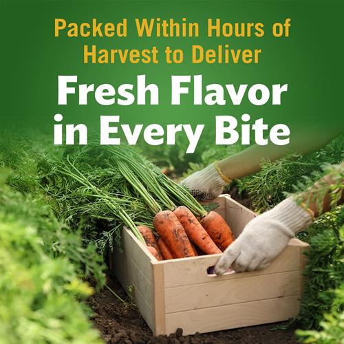 Del Monte Canned Fresh Cut Sliced Carrots, 14.5 Ounce (Pack Of 1)