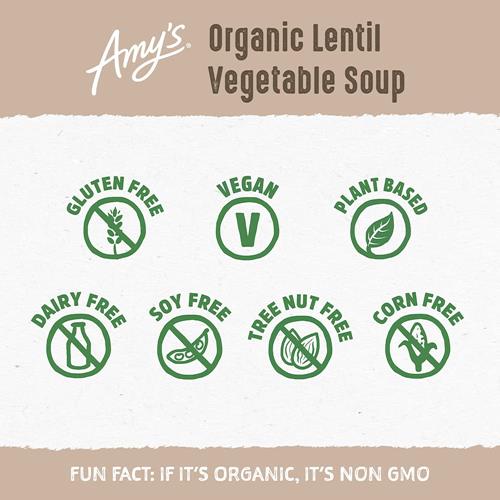 Amys Lentil Vegetable Soup - 14.5 Oz
