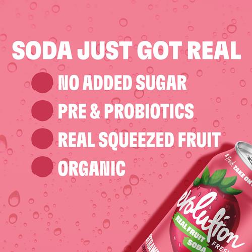 Evolution Fresh Organic Strawberry Vanilla Fruit Soda, 12 Fz