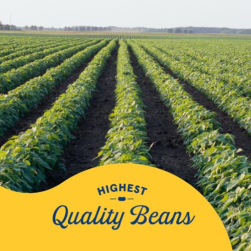 Bushs Canned Light Red Kidney Beans (Pack Of 1), Good Source Of Plant-Based Protein, Good Source Of Fiber, Fat Free, Gluten Free, 16 Oz