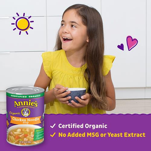 Annie’S Organic Chicken Noodle Canned Soup, Ready To Serve, 14 Oz