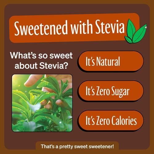 Zevia Ginger Root Beer, Zero Calorie Soda, 12 Fl Oz Cans, 6 Pack