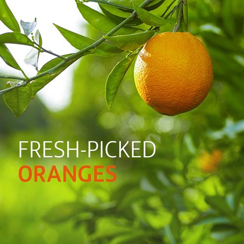 Tropicana Pure Premium 100% Orange Juice Original, No Pulp, Single Serve, 89 Fl Oz Bottle