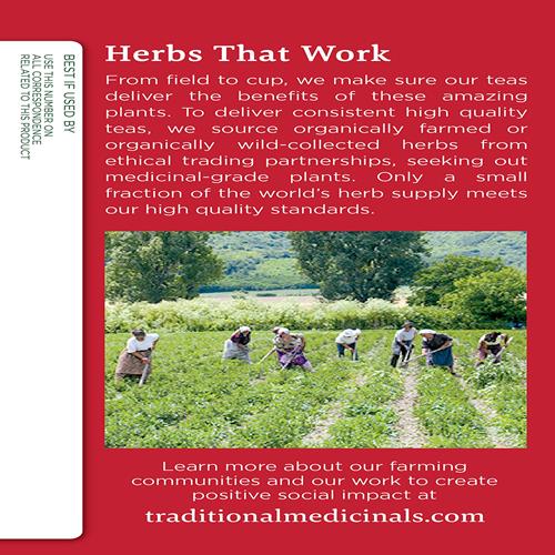 Traditional Medicinals, Seasonal Wellness, Organic, Echinacea Plus, Elderberry, 16 Tea Bags, Net Wt. 0.85 Oz