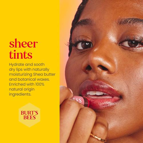 Burts Bees Lip Tint Balm, Long Lasting 2 In 1 Duo Tinted Balm Formula, Color Infused With Hydrating Shea Butter For A Natural Looking Buildable Finish, Rose, 1 Tube