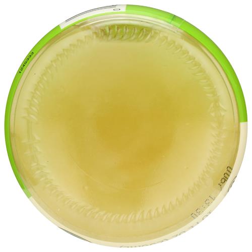 Whole Foods Market Organic Lime Juice, 10 Fz