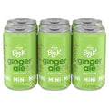 Big K Ginger Ale Caffeine Free Mini Soda Cans 6 pk / 7.5 fl oz