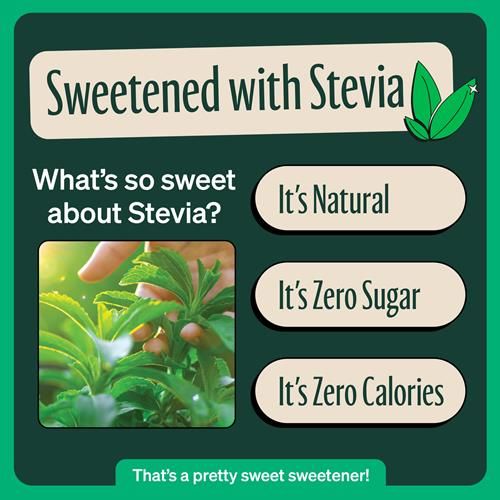 Zevia Organic Caffeine Free Sweetened Hibiscus Passionfruit Tea, 12 Fz