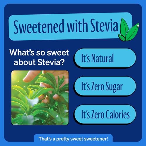 Zevia Zero Sugar Soda, Cola, 12 Ounce Cans (Pack Of 12)