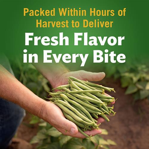 Del Monte Green Beans