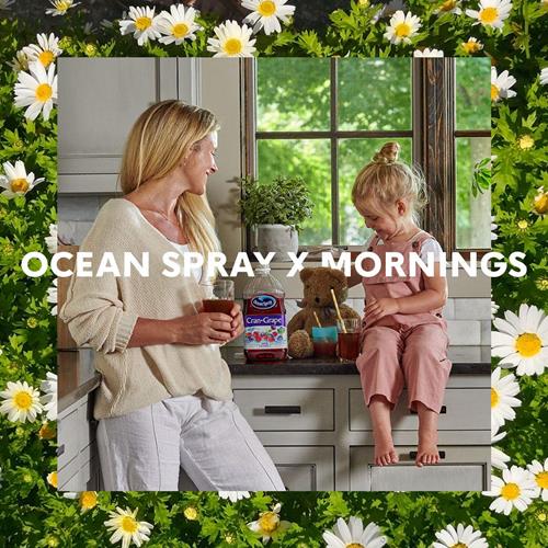 Ocean Spray Cran-Grape Cranberry Grape Juice Drink, 101.4 Fl Oz Bottle (Pack Of 1)