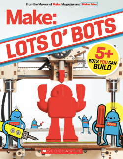 Make: Lots 'o' Bots - Print